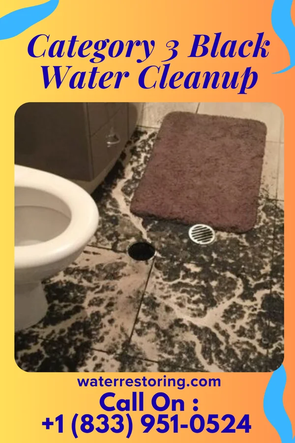 Category 3 Black Water Cleanup in Fircrest, WA