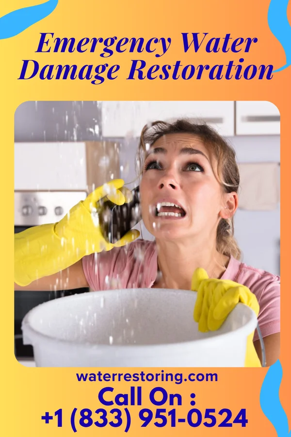 Emergency Water Damage Restoration in Fircrest, WA
