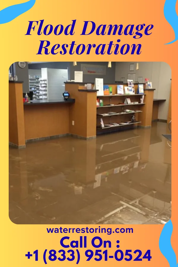 Flood Damage Restoration in Fircrest, WA