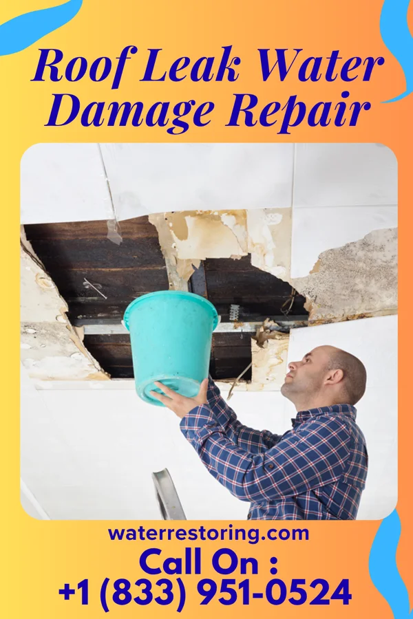 Roof Leak Water Damage Repair in Fircrest, WA