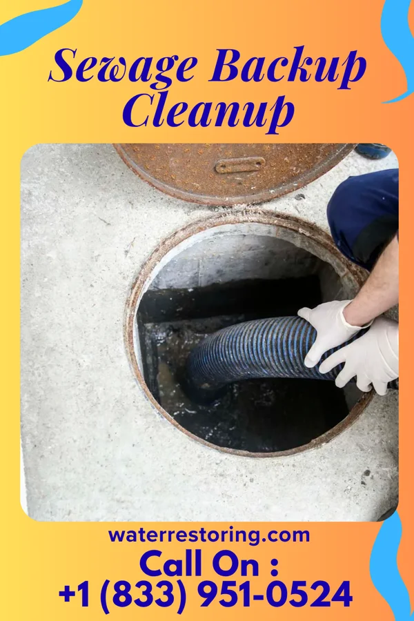 Sewage Backup Cleanup in Fircrest, WA